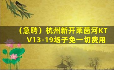 珠海夜场招聘